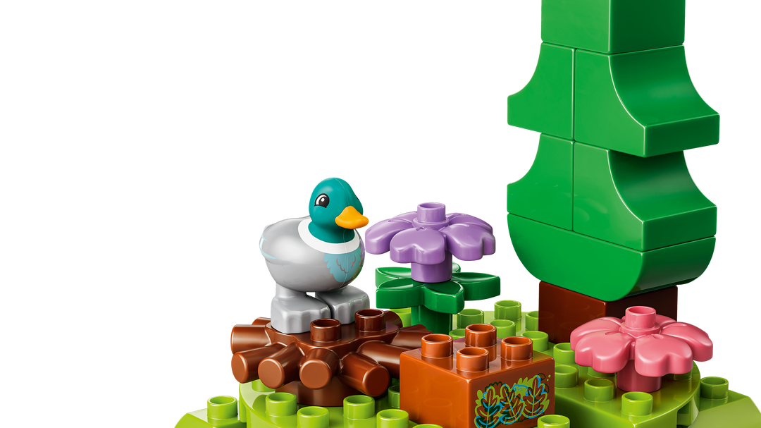לגו DUPLO® - יער גילויים עם חיות בר (10480)-3