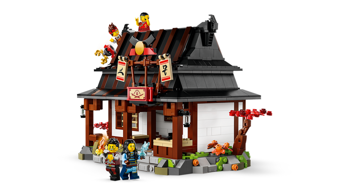 לגו NINJAGO® - נפח ארבעת הנשקים - מהדורת חגיגות 15 שנה (71858)-5