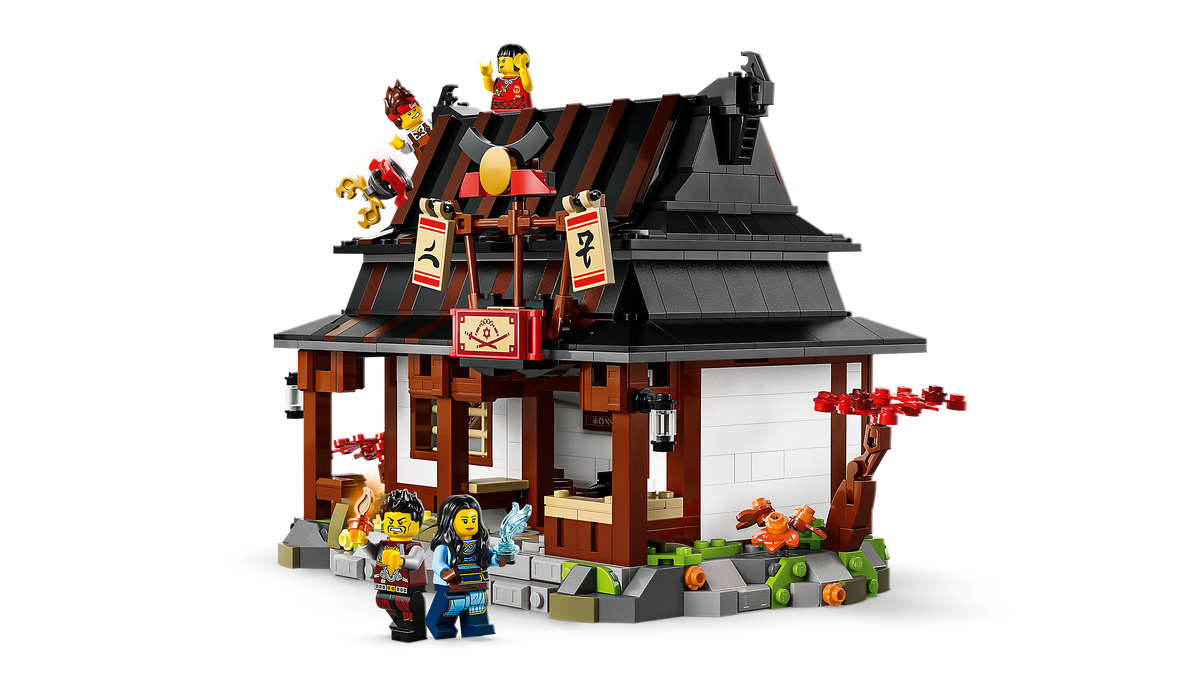 לגו NINJAGO® - נפח ארבעת הנשקים - מהדורת חגיגות 15 שנה (71858)-5