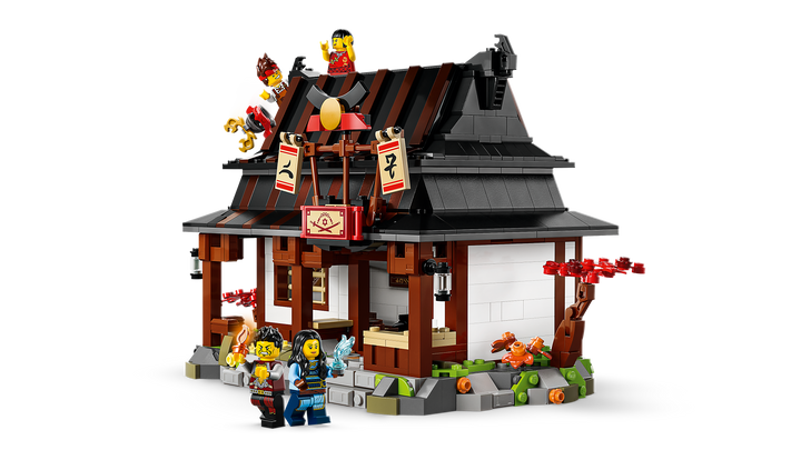 לגו NINJAGO® - נפח ארבעת הנשקים - מהדורת חגיגות 15 שנה (71858)-5