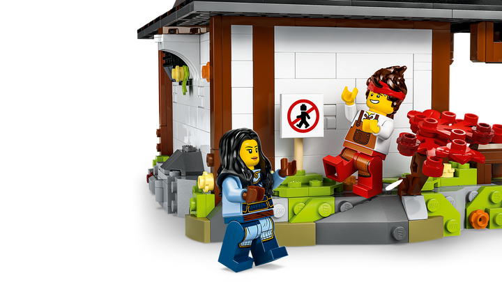 לגו NINJAGO® - נפח ארבעת הנשקים - מהדורת חגיגות 15 שנה (71858)-6