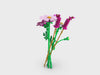 360_SoMe