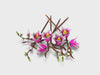 360_SoMe