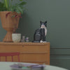 squared_video