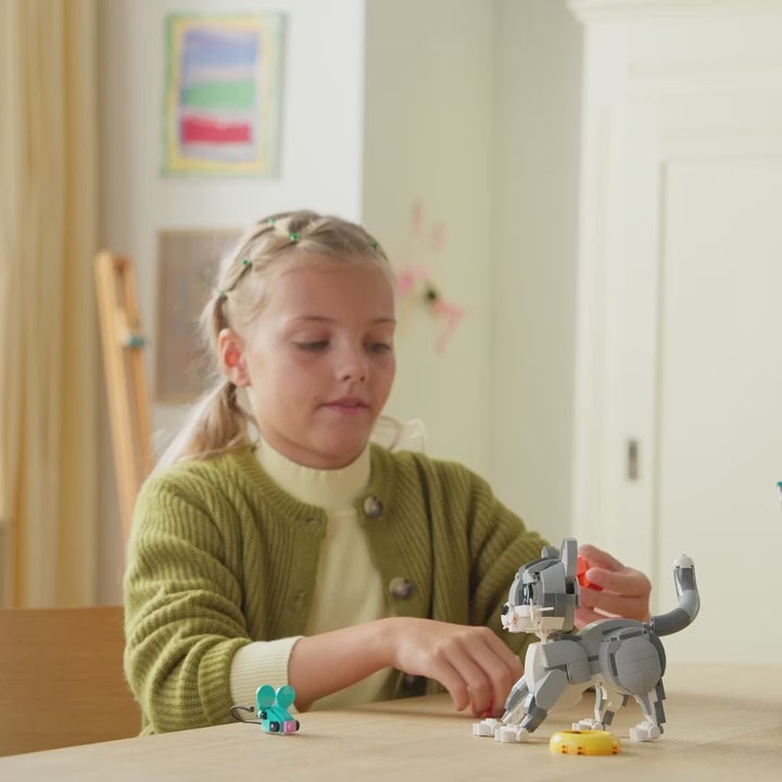 squared_video-8
