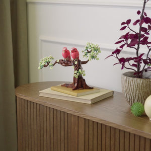 squared_video-video-1