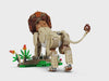 360_SoMe