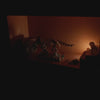 squared_video