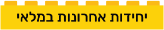 נותרו רק 4 במלאי!