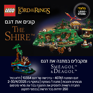 מתנה בלעדית בלגו סטור בריכשת דגם 10354