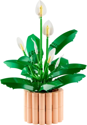 לגו Botanicals - שושן השלום - ספטיפיליו (11504)